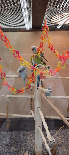 Pet Supply Store «Petco Animal Supplies», reviews and photos, 1 US-46, Totowa, NJ 07512, USA