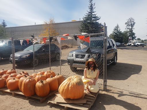 Auto Parts Store «NAPA Auto Parts - Grand Canyon Auto Supply», reviews and photos, 1865 E Butler Ave, Flagstaff, AZ 86001, USA