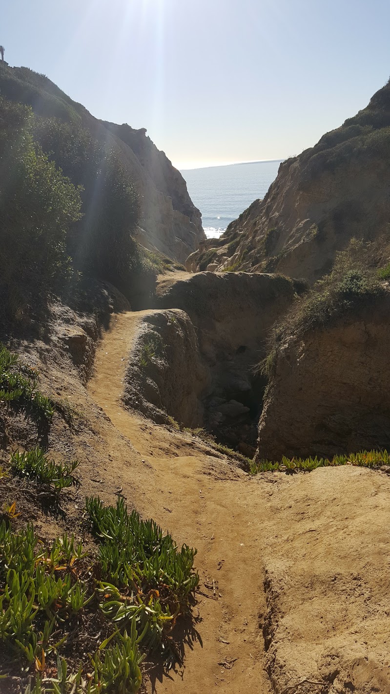 La Jolla Trail