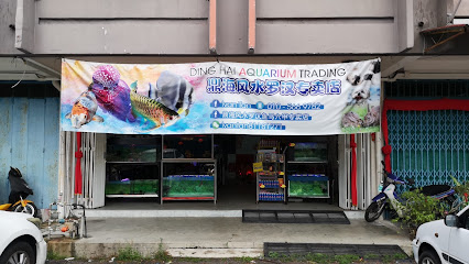 Ding Hai Aquarium 鼎海风水罗汉专卖店
