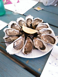 Huître du Restaurant de fruits de mer Les Viviers de Térénez à Rosnoën - n°11