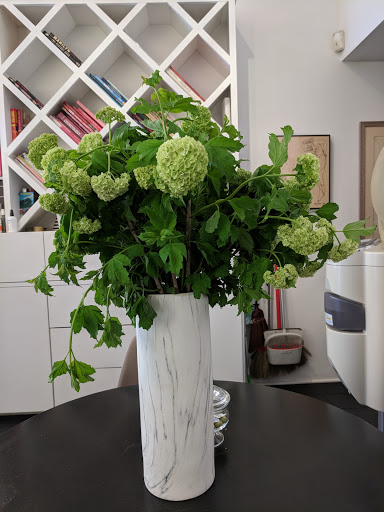 Hair Salon «Koji Toyoda Salon», reviews and photos, 8667 Sunset Blvd, West Hollywood, CA 90069, USA