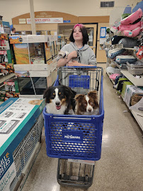 PetSmart - Photo 3 - Car repair in Gilbert, AZ, Mesa
