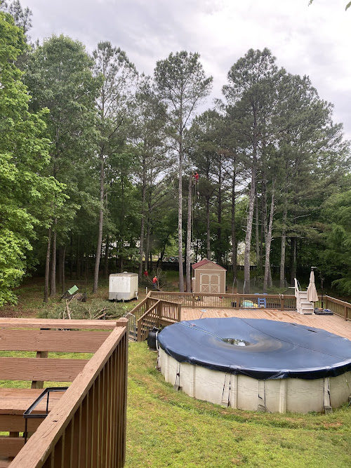  alt='My wife and I have complete confidence in Woodpecker Tree Service and have called upon them multiple time over the past few'