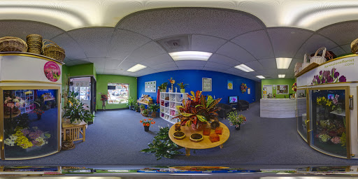 Florist «Xpressions Florist», reviews and photos, 14373 Blanco Rd, San Antonio, TX 78216, USA