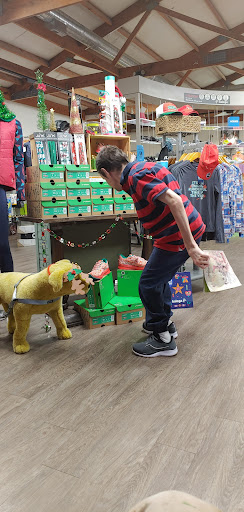 Running Store «Fleet Feet Sports», reviews and photos, 635 Augusta St, Greenville, SC 29605, USA