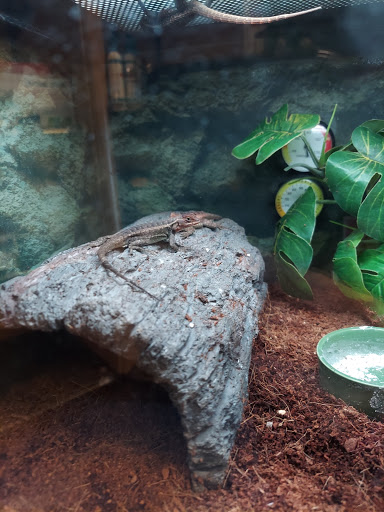 Pet Supply Store «Petco Animal Supplies», reviews and photos, 1086 Killingly Commons Drive, Dayville, CT 06241, USA