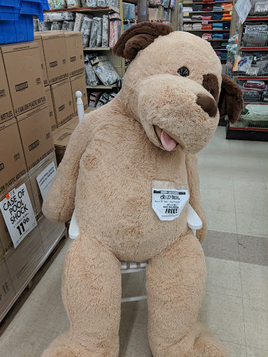 Discount Store «Ocean State Job Lot», reviews and photos, 869 Grand Army of the Republic Hwy, Somerset, MA 02726, USA