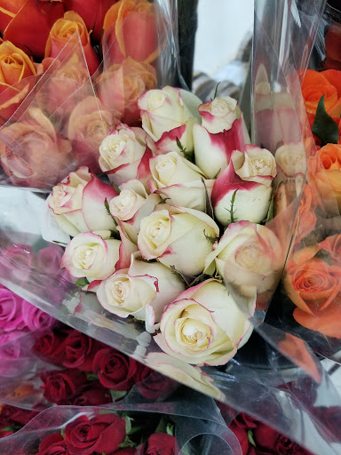 Grocery Store «Hardings Friendly Market», reviews and photos, 510 S Main St, Middlebury, IN 46540, USA