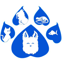 FLA Pet Care - Pet Sitters and Pet Boarding of Coral Springs - Photo 5 - Car repair in Margate, FL, Coral Springs