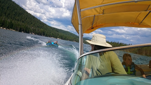 National Forest «Umpqua National Forest», reviews and photos, 1121 Houser Ct, Idleyld Park, OR 97447, USA