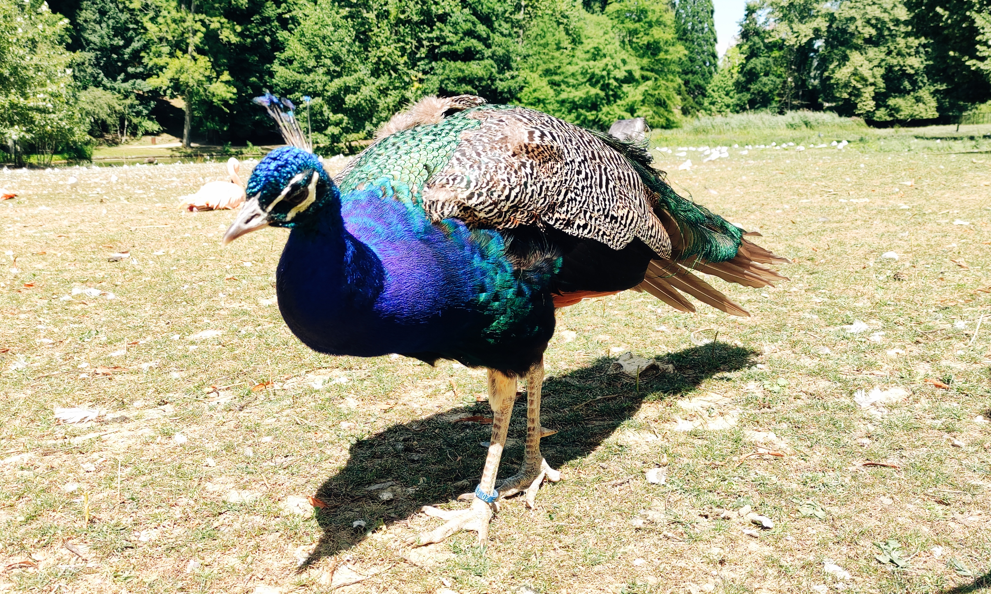 Photo n° 5 de l'avis de Florence.u fait le 06/08/2022 à 18:14