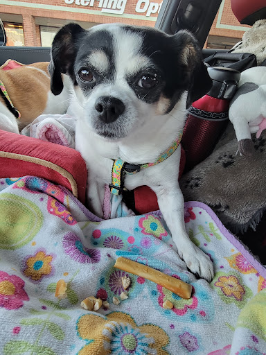 Pet Supply Store «Concord Pet Foods & Supplies», reviews and photos, 19287 Miller Rd, Rehoboth Beach, DE 19971, USA