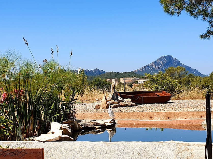 STUDIO PIC SAINT-LOUP à Valflaunès (Hérault 34)