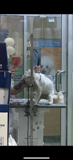 Pet Supply Store «Petco Animal Supplies», reviews and photos, 2617 196th St SW #141, Lynnwood, WA 98036, USA