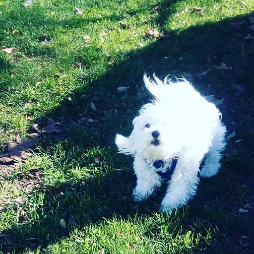 Park «Greer Park», reviews and photos, 6900 W McFadden Ave, Huntington Beach, CA 92647, USA