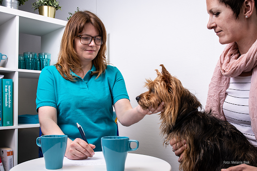 TierREHAteam - Tierphysiotherapie, Tierärztliche Praxis & Schmerztherapie für Tiere unter Löhnberg, 