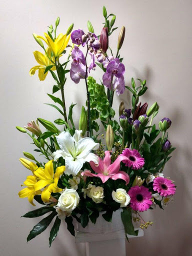 Florerias Polanco – Cuauhtémoc, Mexico City