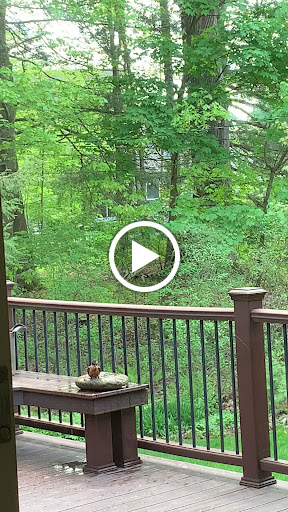 Golf Club «Mohawk Golf Club», reviews and photos, 1849 Union St #2, Schenectady, NY 12309, USA