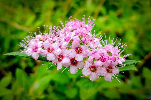 Home Improvement Store «The Home Depot», reviews and photos, 4949 NW Old Pike Rd, Gladstone, MO 64118, USA
