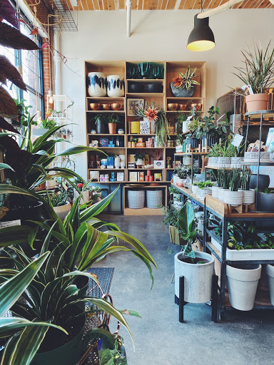 Florist «Stacy K Floral», reviews and photos, 43 Russell St, Rochester, NY 14607, USA