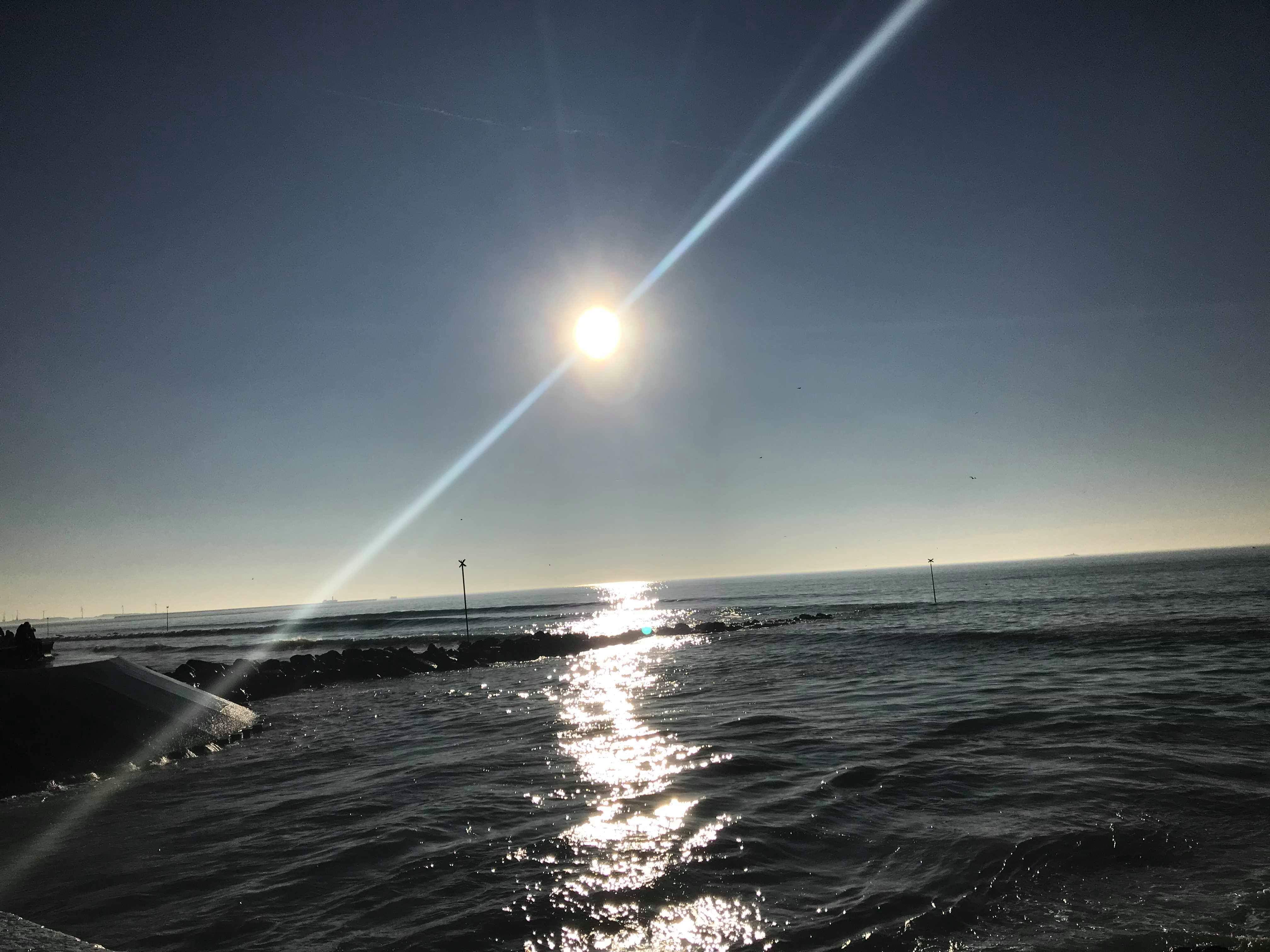 Photo n° 2 de l'avis de Leila. fait le 28/02/2019 à 04:52