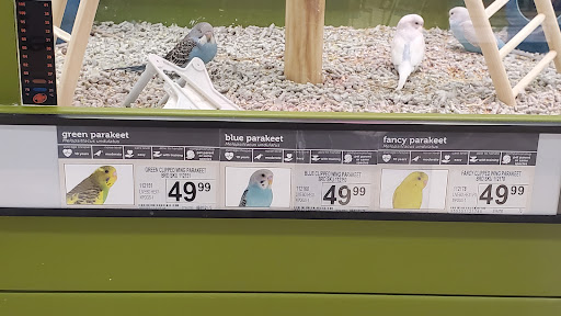 Pet Supply Store «Petco Animal Supplies», reviews and photos, 390 Universal Dr N, North Haven, CT 06473, USA