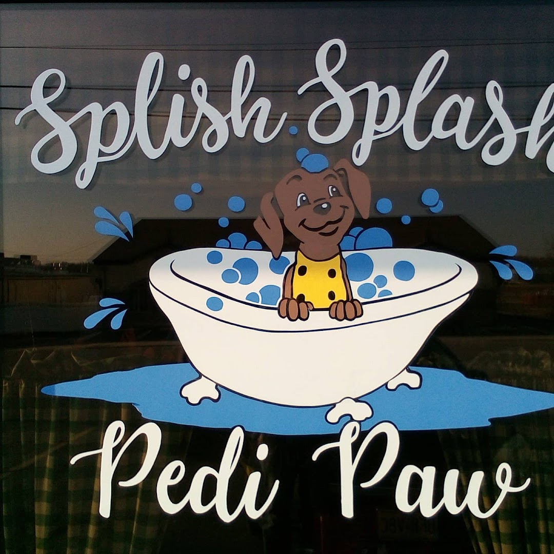 Splish Splash Peti Paw Grooming