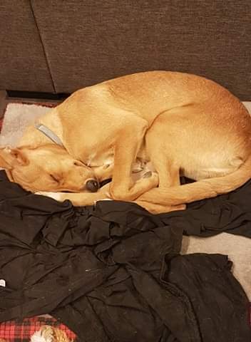 Photo n° 4 de l'avis de Cindy.o fait le 30/05/2021 à 19:27
