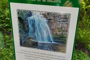 Lynn Falls - Waterfall image