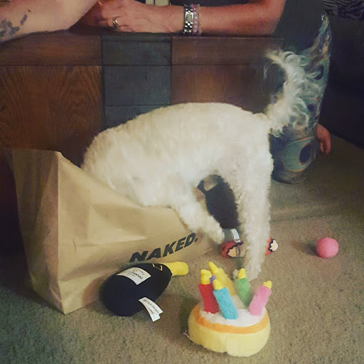 Pet Store «Naked Dog Bistro», reviews and photos, 424 Forest Ave, Laguna Beach, CA 92651, USA