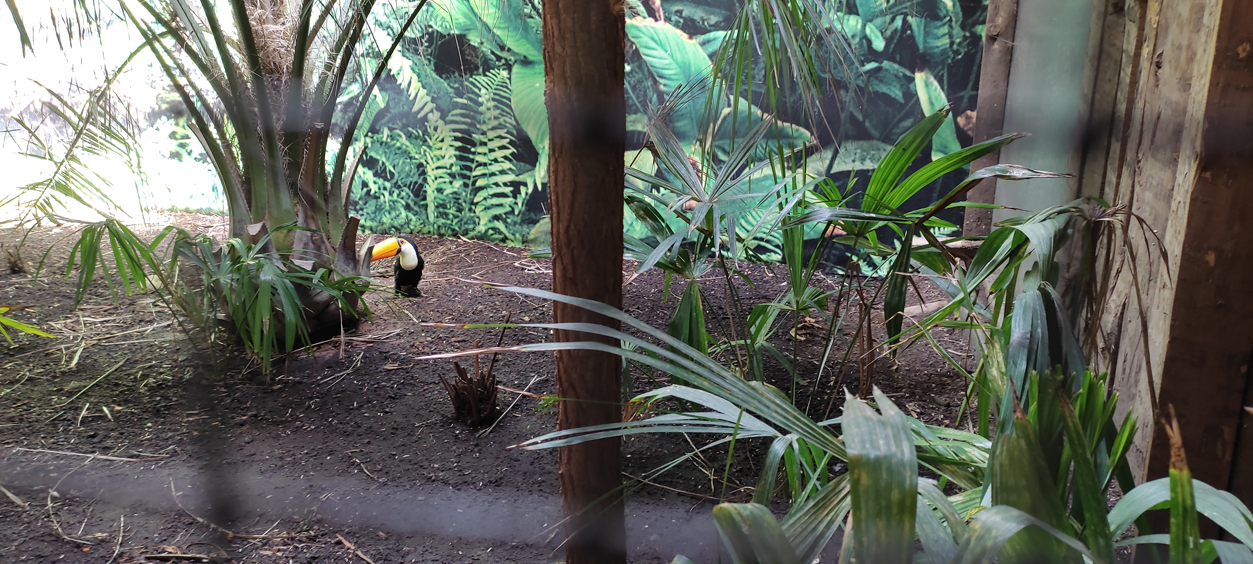 Photo n° 1 de l'avis de albane16.c fait le 16/07/2022 à 20:11