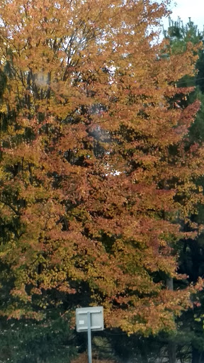 Golf Club «Woodstock Golf Club», reviews and photos, NY-212 & NY-375, Woodstock, NY 12498, USA