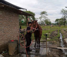 Stable Kuda Taman Cadika photo