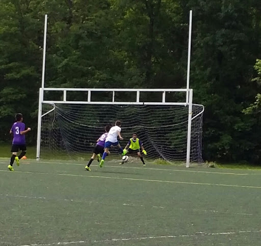 Park «Poplar Tree Park», reviews and photos, 4718 Stringfellow Rd, Fairfax, VA 22030, USA