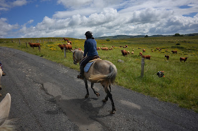 la ferme équestre des burons à Pailherols
