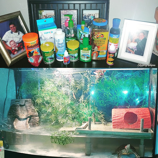 Pet Supply Store «PetSmart», reviews and photos, 3081 S 5600 W, Salt Lake City, UT 84120, USA