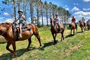 Boyle Family Farm - Horseback Trail Riding/Birthday Parties/Kids Summer Camps image
