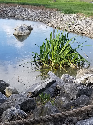 Golf Course «Waters Edge Mini Golf», reviews and photos, 230 N Ronks Rd, Bird in Hand, PA 17505, USA