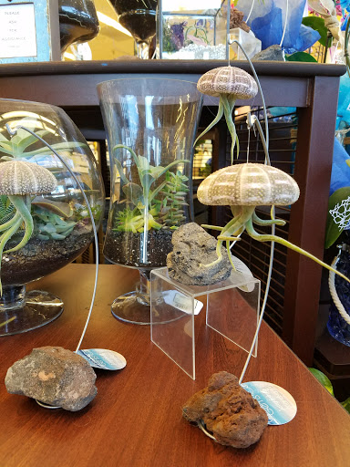 Grocery Store «Albertsons», reviews and photos, 30241 Street of the Golden Lantern, Laguna Niguel, CA 92607, USA