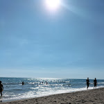 Photo n°2 de l'avis de Gino.r fait le 15/07/2022 à 19:07 sur le  Spiaggia Libera Castel Porziano - Cancello 2 à Rome