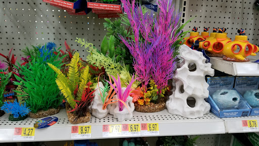 Discount Store «Walmart», reviews and photos, 3451 Tamiami Trail E, Naples, FL 34112, USA