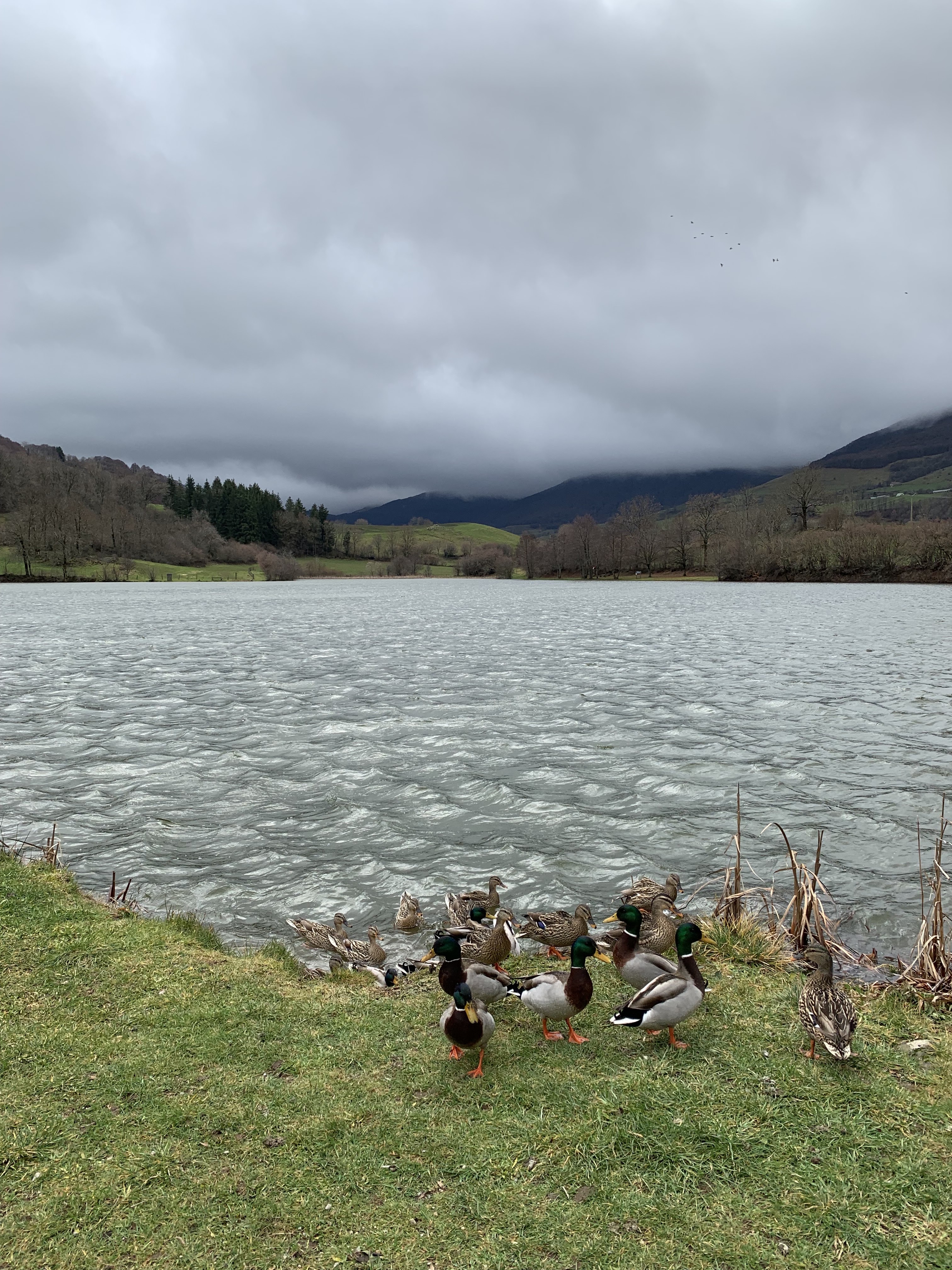 Photo n° 4 de l'avis de Auvergnates.n fait le 21/02/2023 à 12:38