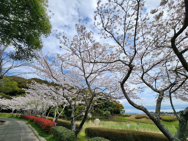 湖西運動公園 駐車場