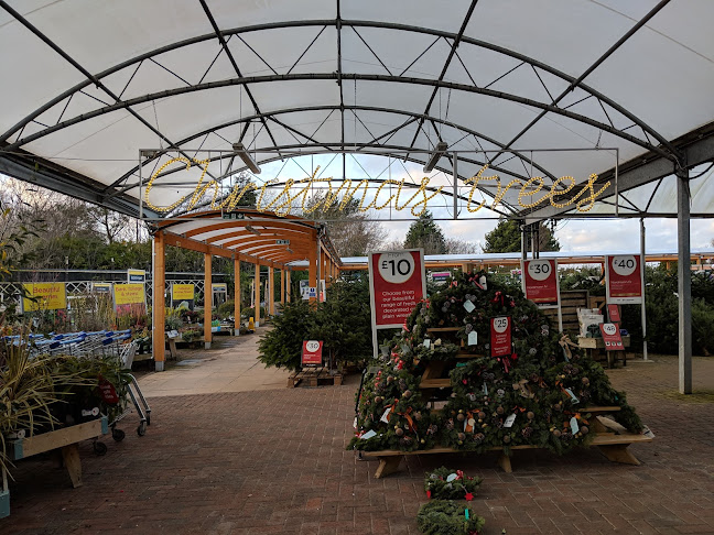 Comments and reviews of Worcester Garden Centre