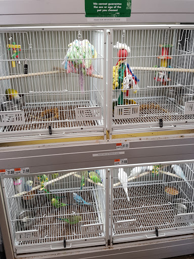 Pet Supply Store «Pet Supplies Plus», reviews and photos, 400 Lowell Ave Suite 14, Haverhill, MA 01832, USA