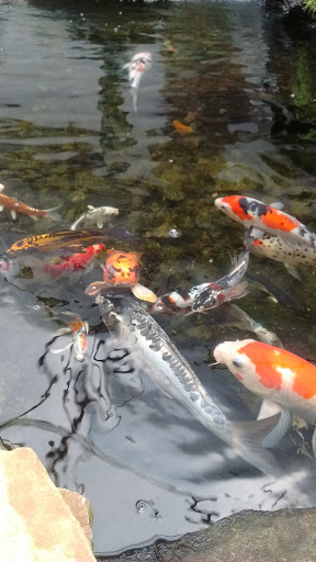 Pet Store «Wet Pets And Friends», reviews and photos, 3695 Washington Rd, Canonsburg, PA 15317, USA