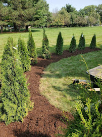 Bare Roots Landscaping - Photo 8 - Car repair in Waterloo, IA, Waterloo