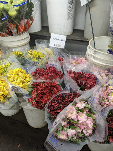 Inland Flower Market
