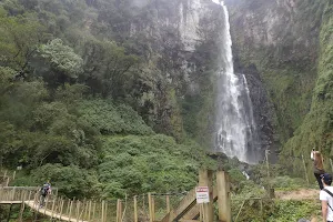 Cachoeira Salto Grande image